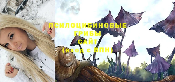 сатива Балабаново
