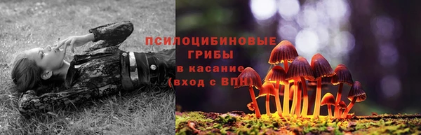 дживик Михайловка